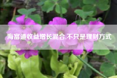 海富通收益增长混合,不只是理财方式