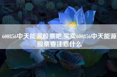 600856中天能源股票吧,买卖600856中天能源股票要注意什么