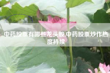 中药股票有哪些龙头股,中药股票炒作热度持续