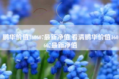 鹏华价值160607最新净值,看清鹏华价值160607最新净值