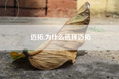迈拓,为什么选择迈拓