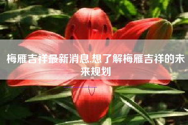梅雁吉祥最新消息,想了解梅雁吉祥的未来规划