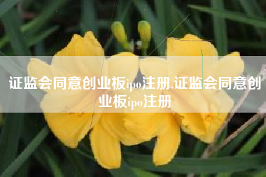 证监会同意创业板ipo注册,证监会同意创业板ipo注册