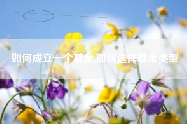 如何成立一个基金,如何选择基金类型