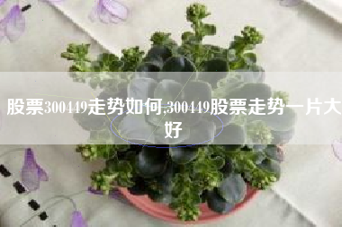 股票300449走势如何,300449股票走势一片大好