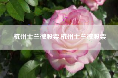 杭州士兰微股票,杭州士兰微股票