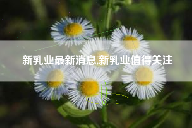 新乳业最新消息,新乳业值得关注
