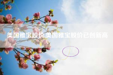 美国雅宝股价,美国雅宝股价已创新高