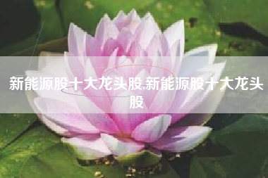 新能源股十大龙头股,新能源股十大龙头股