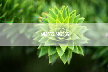 605555,605555
