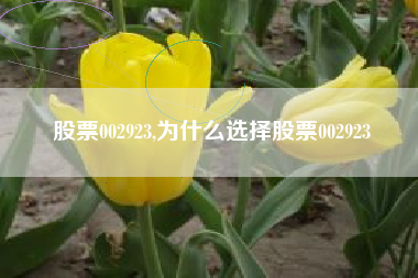 股票002923,为什么选择股票002923