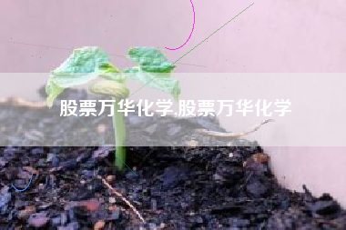 股票万华化学,股票万华化学