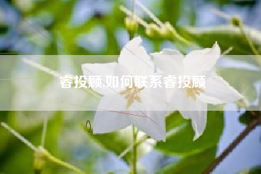 睿投顾,如何联系睿投顾