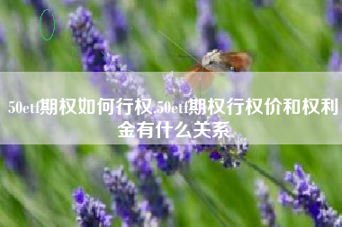 50etf期权如何行权,50etf期权行权价和权利金有什么关系