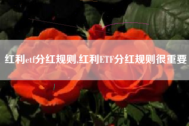 红利etf分红规则,红利ETF分红规则很重要