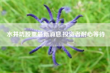 水井坊股票最新消息,投资者耐心等待