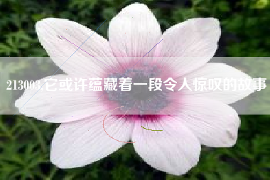213003,它或许蕴藏着一段令人惊叹的故事