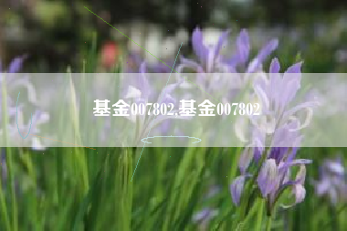 基金007802,基金007802