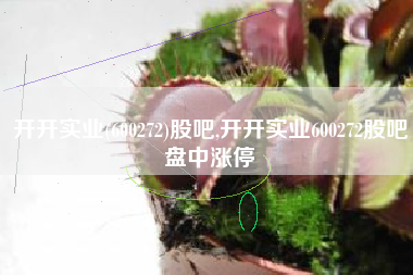 开开实业(600272)股吧,开开实业600272股吧盘中涨停