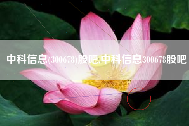中科信息(300678)股吧,中科信息300678股吧