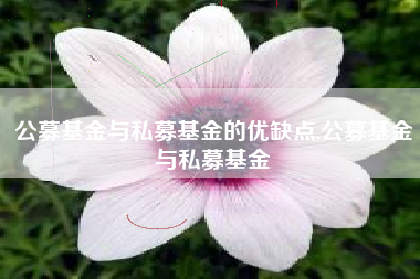 公募基金与私募基金的优缺点,公募基金与私募基金