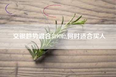 交银趋势混合519702,何时适合买入