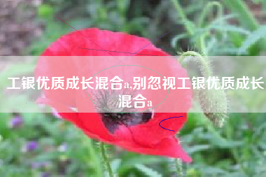 工银优质成长混合a,别忽视工银优质成长混合a
