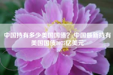 中国持有多少美国国债？,中国最新持有美国国债8075亿美元