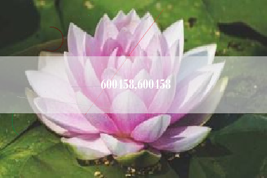 600458,600458
