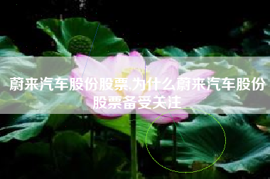 蔚来汽车股份股票,为什么蔚来汽车股份股票备受关注