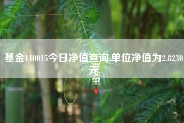基金110015今日净值查询,单位净值为2.8230元