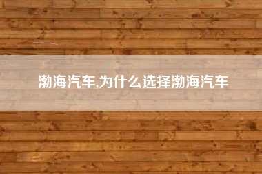渤海汽车,为什么选择渤海汽车