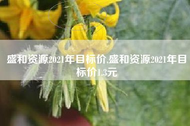 盛和资源2021年目标价,盛和资源2021年目标价1.3元