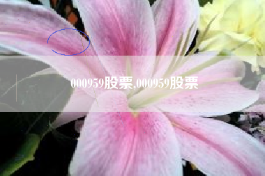 000959股票,000959股票