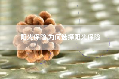阳光保险,为何选择阳光保险