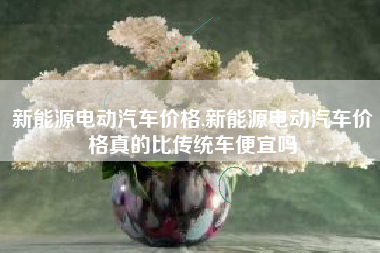 新能源电动汽车价格,新能源电动汽车价格真的比传统车便宜吗