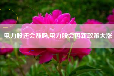 电力股还会涨吗,电力股会因新政策大涨