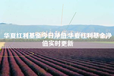 华夏红利基金今日净值,华夏红利基金净值实时更新