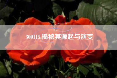 300115,揭秘其源起与演变