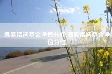 德盛精选基金净值分红,德盛精选基金净值分红