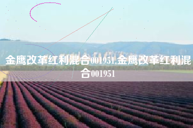 金鹰改革红利混合001951,金鹰改革红利混合001951