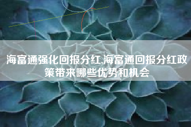 海富通强化回报分红,海富通回报分红政策带来哪些优势和机会