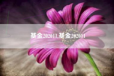 基金202011,基金202011