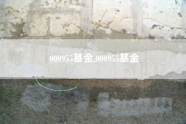 000955基金,000955基金
