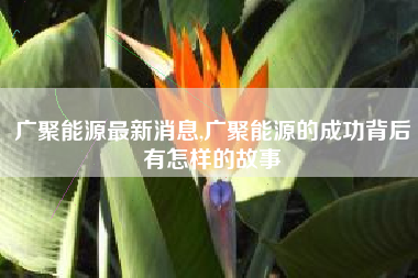 广聚能源最新消息,广聚能源的成功背后有怎样的故事