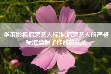 华策影视招聘艺人标准,招聘艺人的严格标准确保了作品的优质
