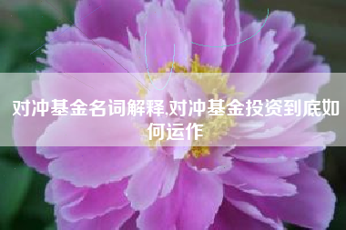 对冲基金名词解释,对冲基金投资到底如何运作
