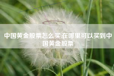 中国黄金股票怎么买,在哪里可以买到中国黄金股票