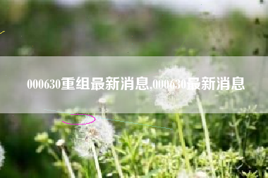 000630重组最新消息,000630最新消息