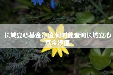 长城安心基金净值,何时能查询长城安心基金净值